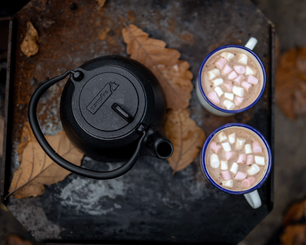 Top Cast Iron Kettles with Infuser for Tea Lovers